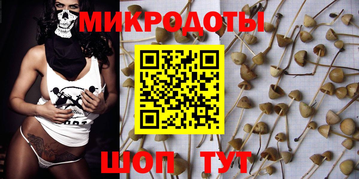 Галлюциногенные грибы Cubensis Зеленогорск